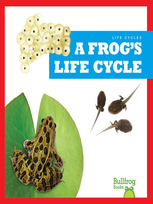 cover image of A Frog's Life Cycle